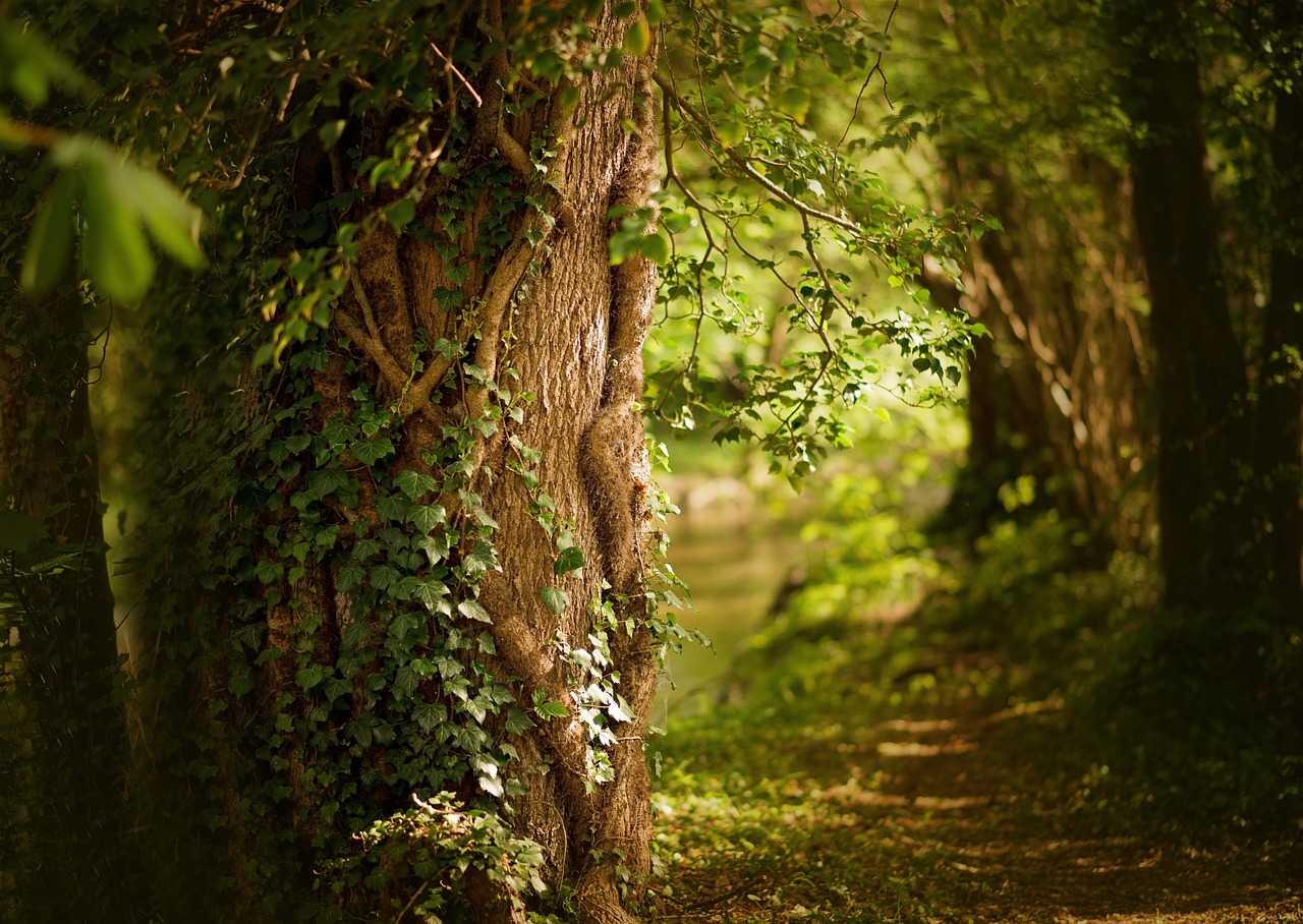 Exploring the Mystical Beauty of Greece's Rites of Spring